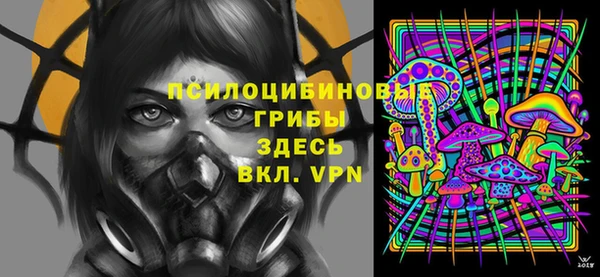 скорость Алзамай